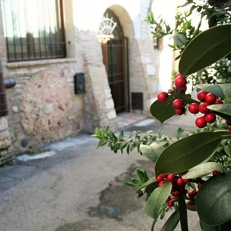 Apartment Open-space Le Macine Assisi
